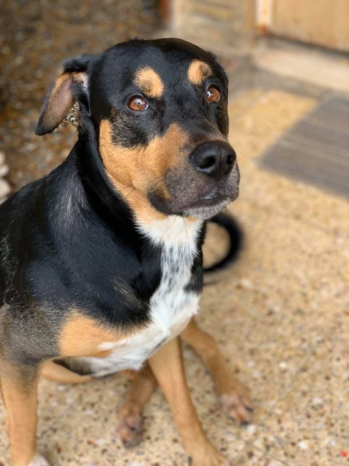 Imagen de publicación